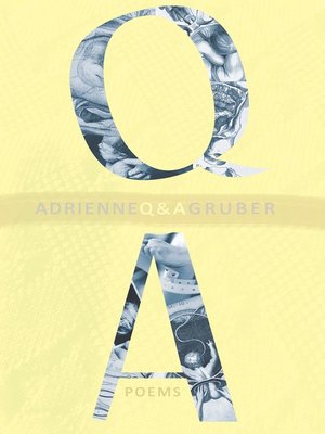cover image of Q & A